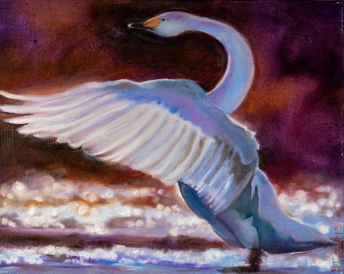 Ö 240 Schwan
